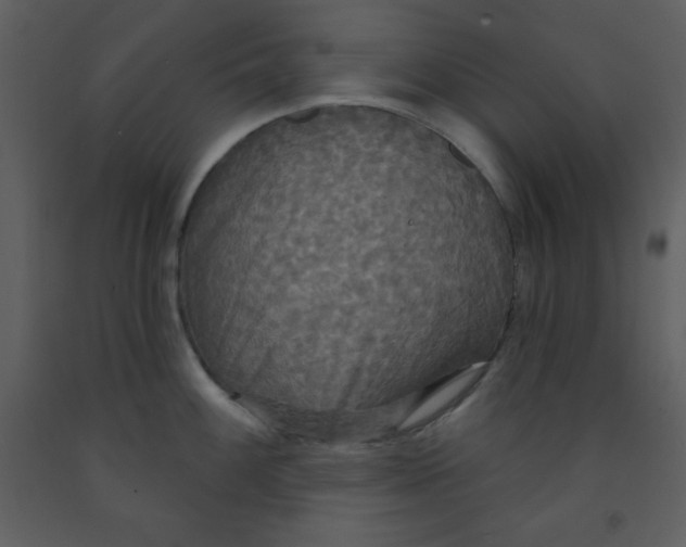 X0000093251100200710171419