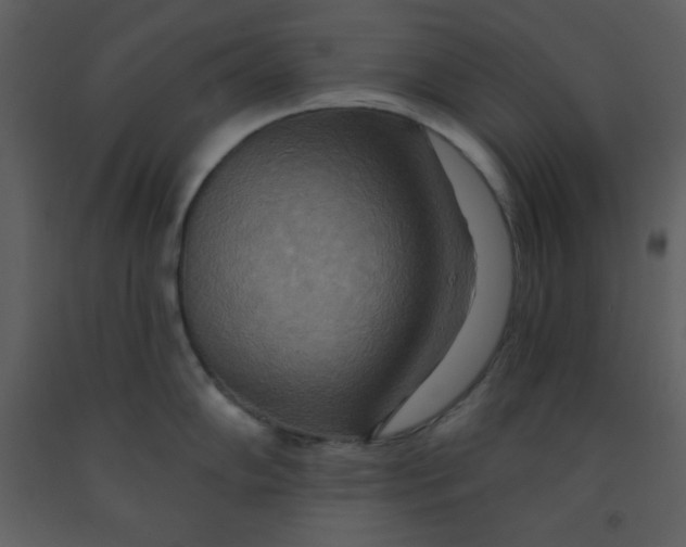 X0000093251102200710171419