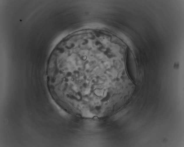 X0000093251103200710171419