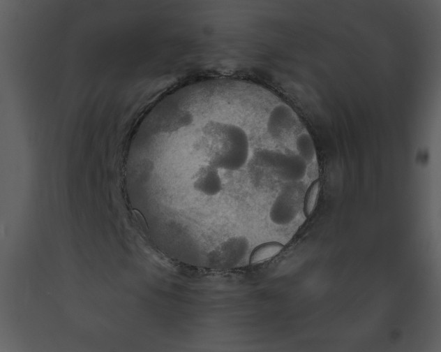 X0000093251105200710171419