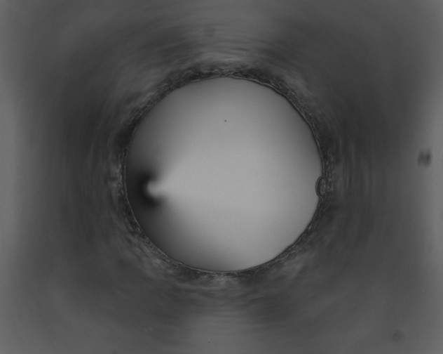 X0000093251109200710171419