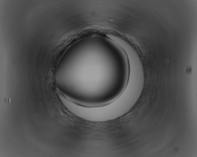 X0000093251110200710171419