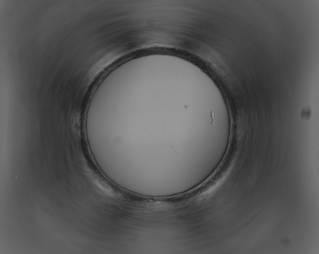 X0000093251113200710171419