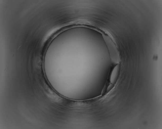 X0000093251115200710171419