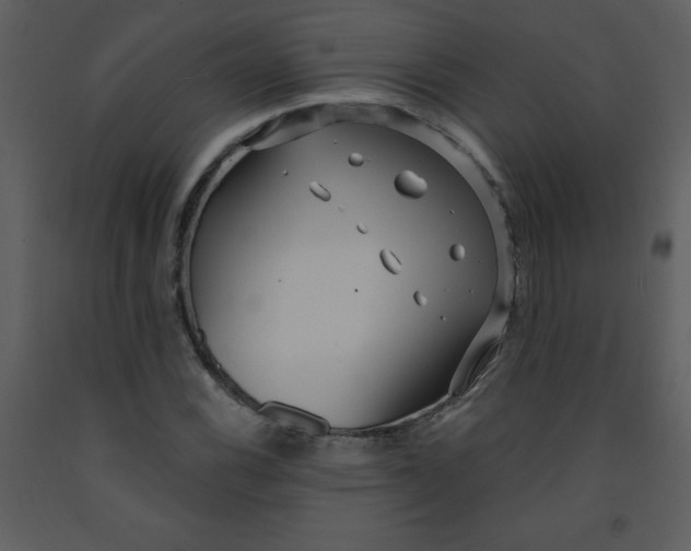 X0000093251116200710171419