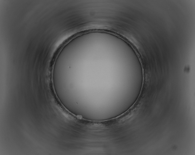 X0000093251119200710171419