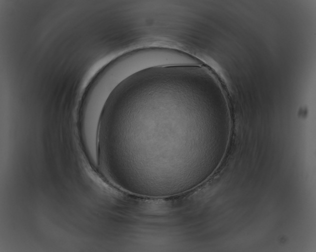 X0000093251120200710171419