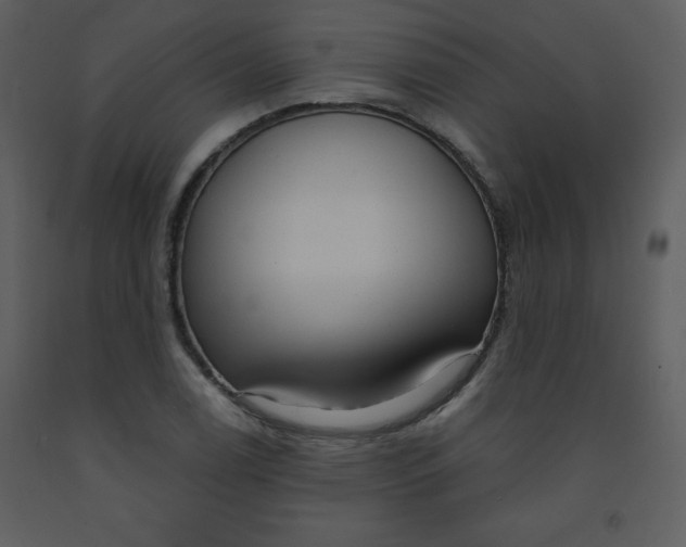 X0000093251122200710171419