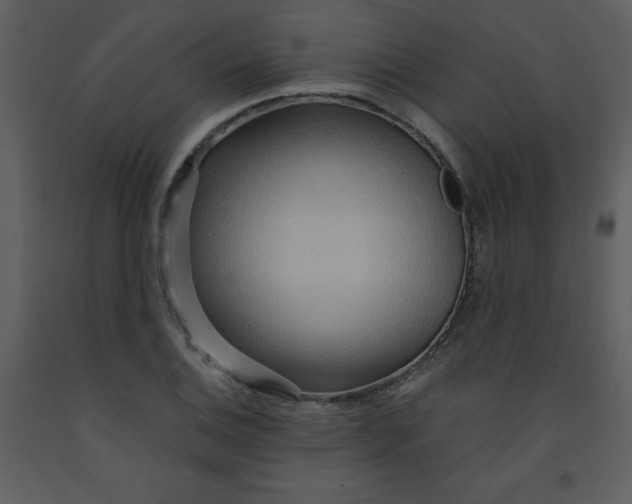 X0000093251124200710171419