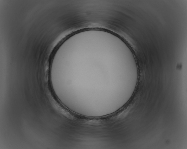 X0000093251126200710171419