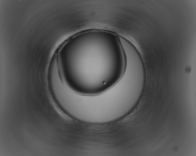 X0000093251128200710171419