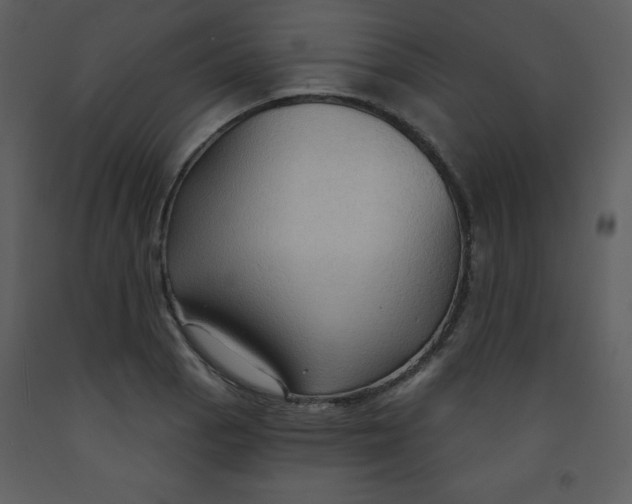 X0000093251129200710171419