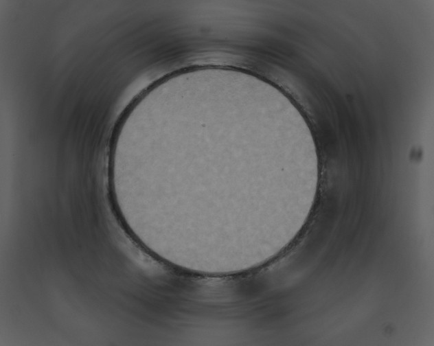 X0000093251130200710171419