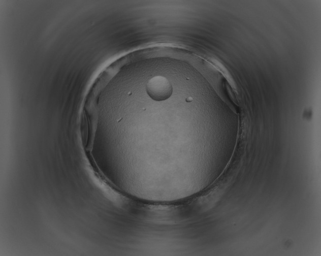 X0000093251132200710171419