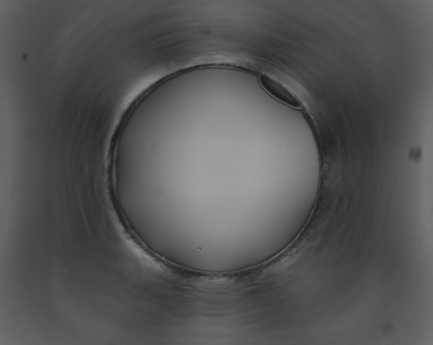 X0000093251135200710171419