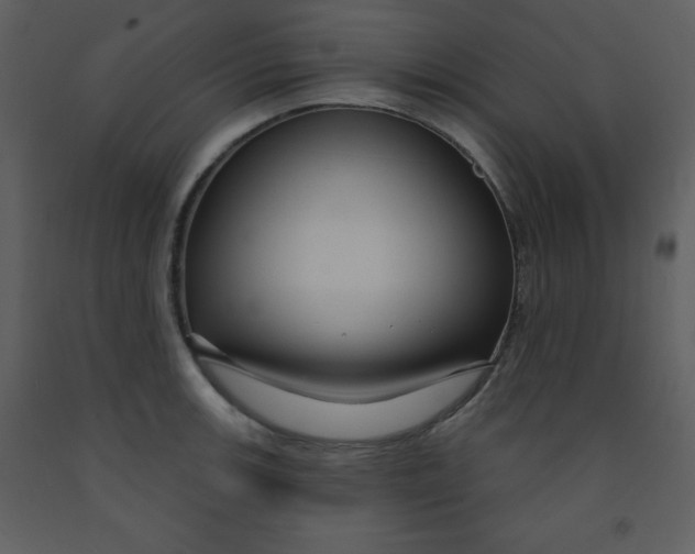 X0000093251139200710171419