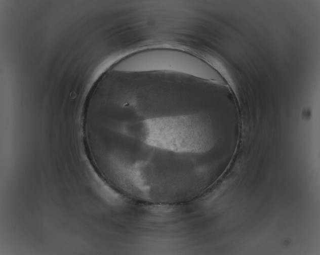 X0000093251141200710171419