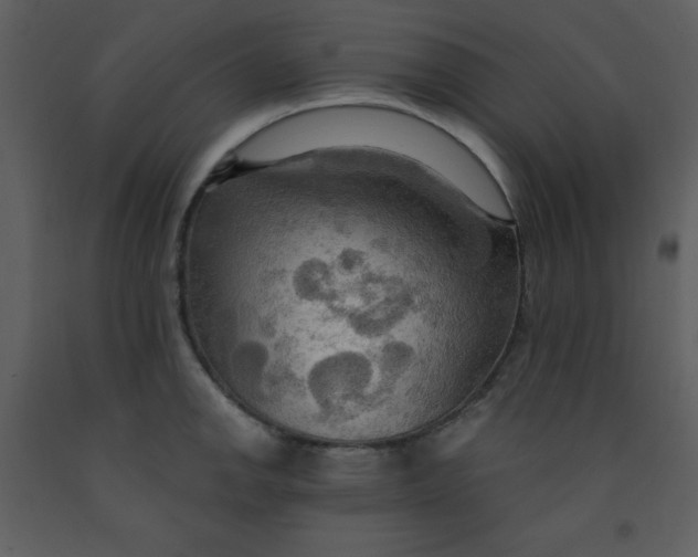 X0000093251142200710171419