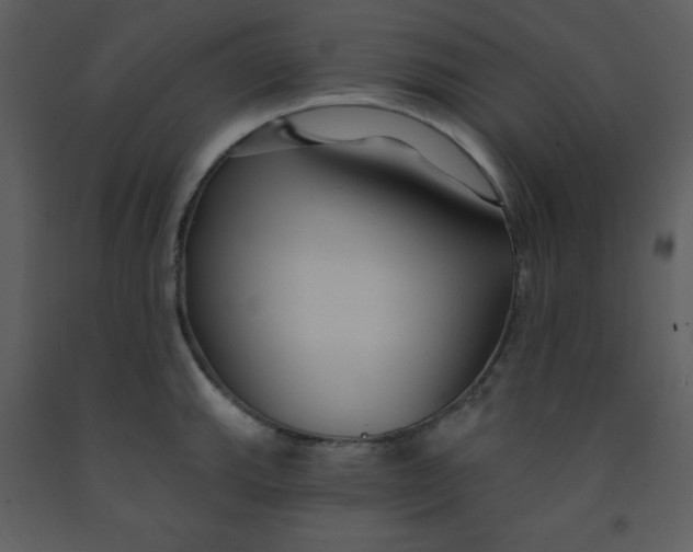 X0000093251143200710171419