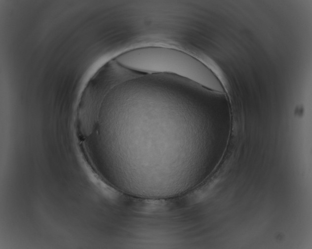 X0000093251144200710171419