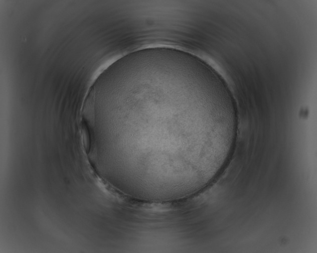 X0000093251145200710171419