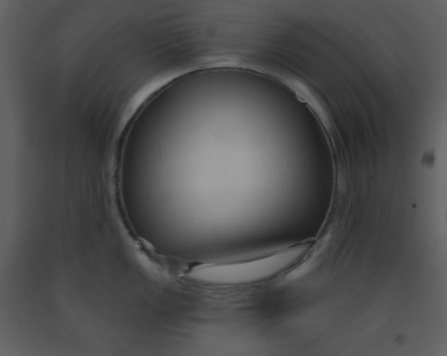 X0000093251149200710171419