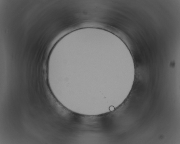 X0000093251150200710171419