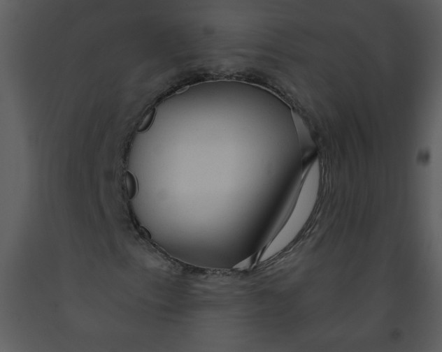 X0000093251153200710171419