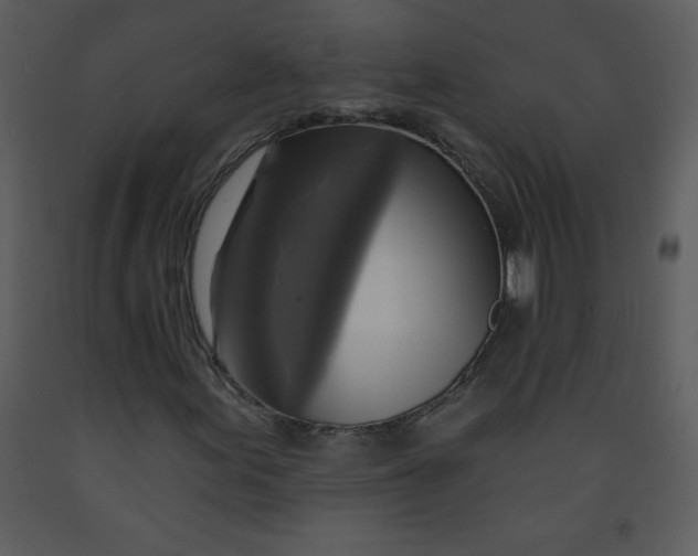 X0000093251155200710171419