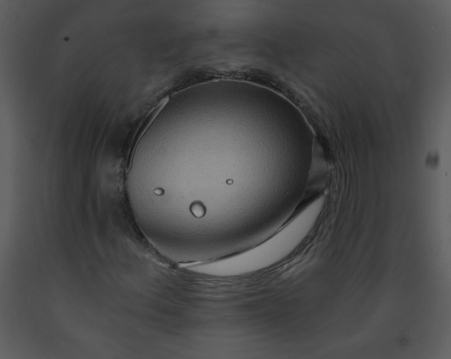 X0000093251156200710171419