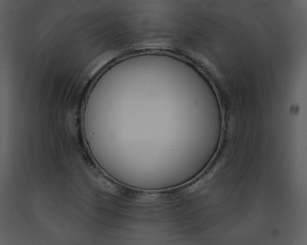 X0000093251162200710171418