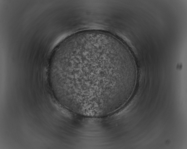 X0000093251163200710171418