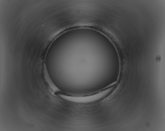 X0000093251169200710171418