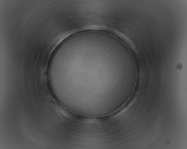 X0000093251170200710171418