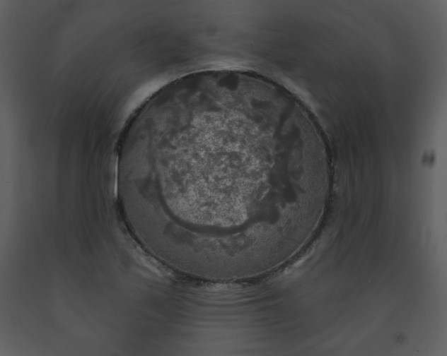 X0000093251171200710171418