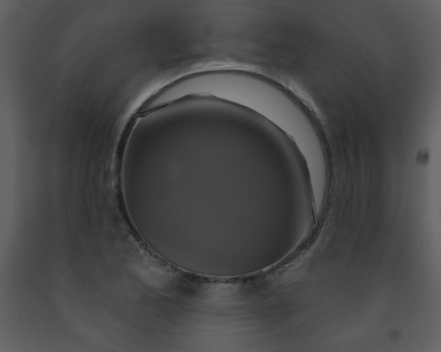 X0000093251173200710171418