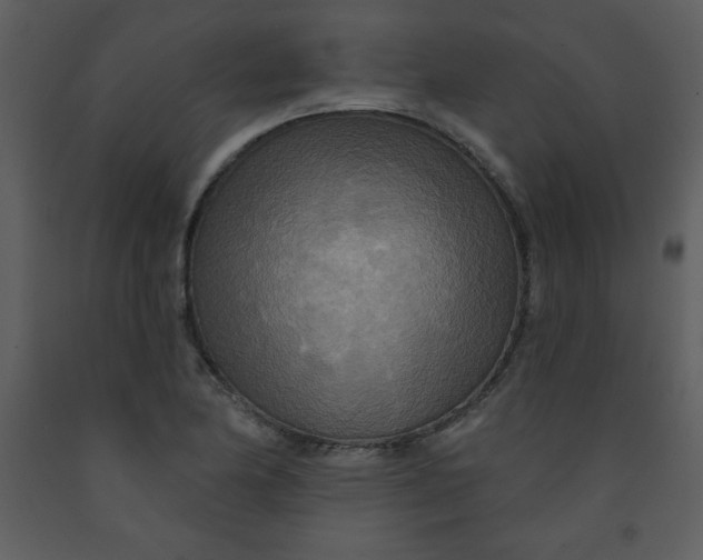 X0000093251174200710171418