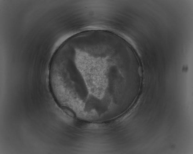 X0000093251179200710171418