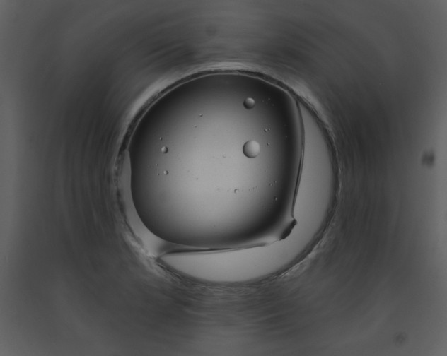 X0000093251181200710171418