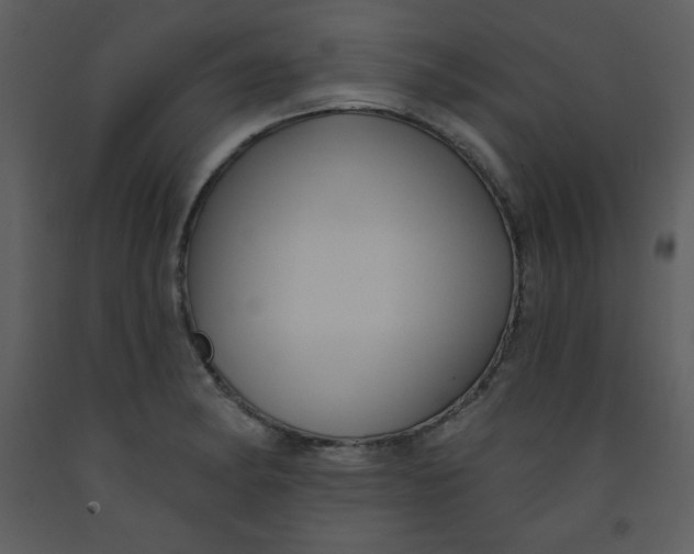 X0000093251182200710171418