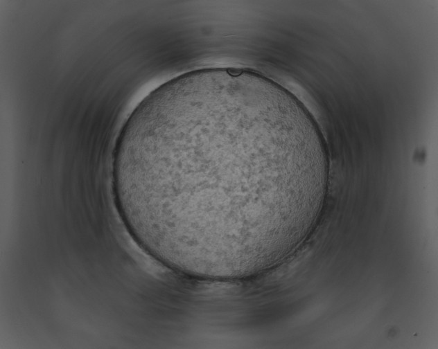 X0000093251187200710171418