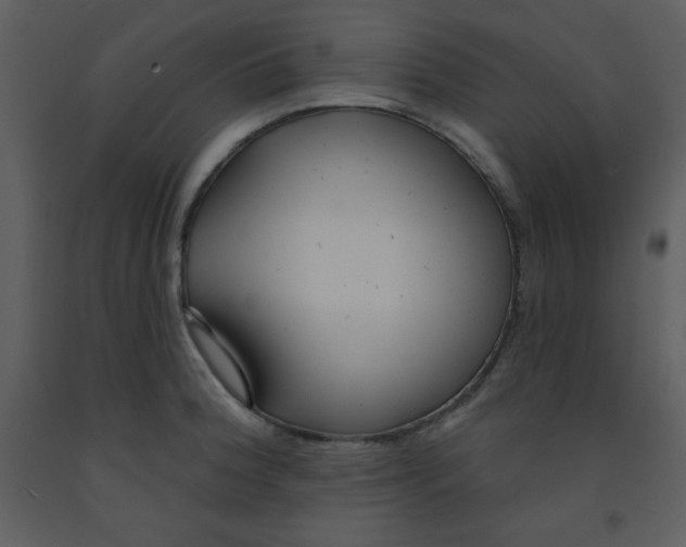 X0000093251188200710171418