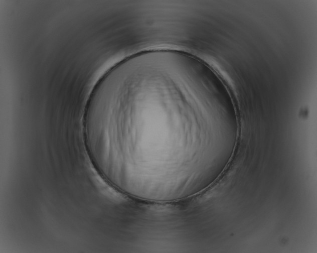 X0000093251189200710171418