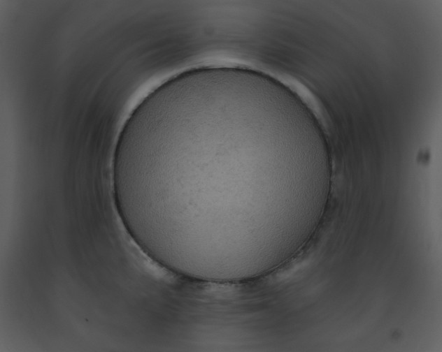 X0000093251191200710171418