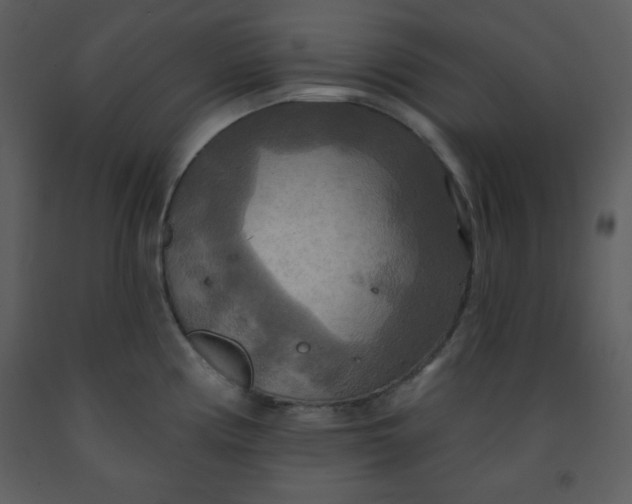 X0000093251194200710171418