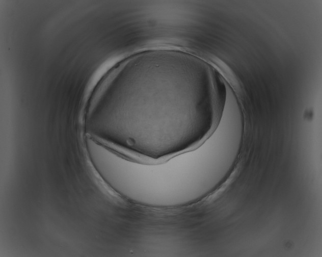 X0000093251196200710171418