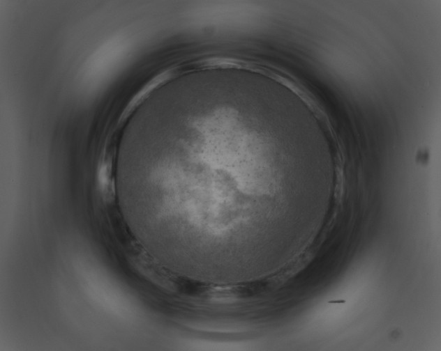 X0000093251198200710171418