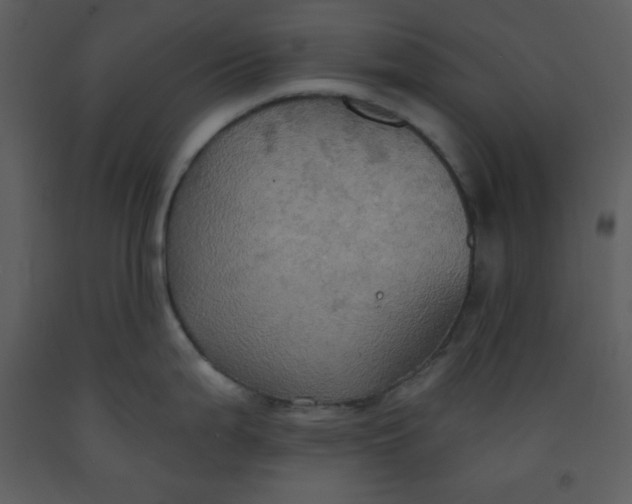 X0000093251199200710171418