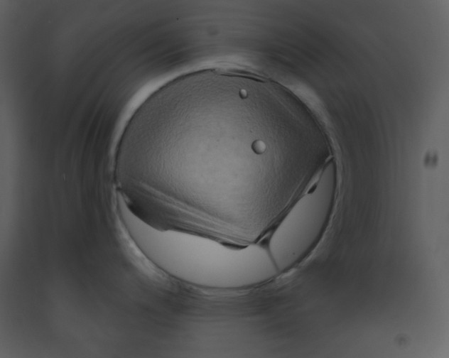 X0000093251200200710171418