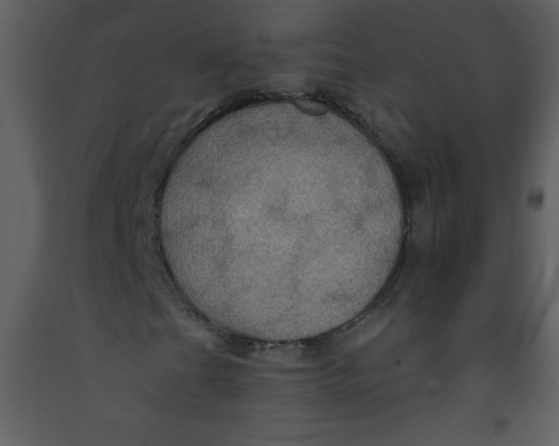 X0000093251201200710171417